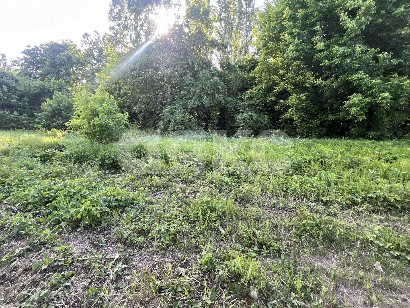 Фото №5: Земельный участок под ИЖС 6 сот. - Саратовская, 4-й, ул. Виноградная
