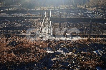 Фото №5: Земельный участок под ИЖС - Волгоград, п. Верхняя Ельшанка, ул. Вербная