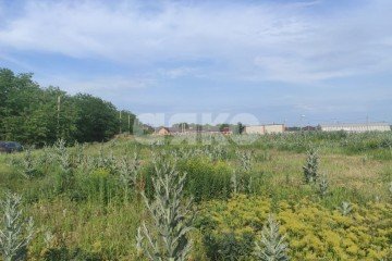 Фото №2: Участок садоводство - Задонский, ул. Ленина