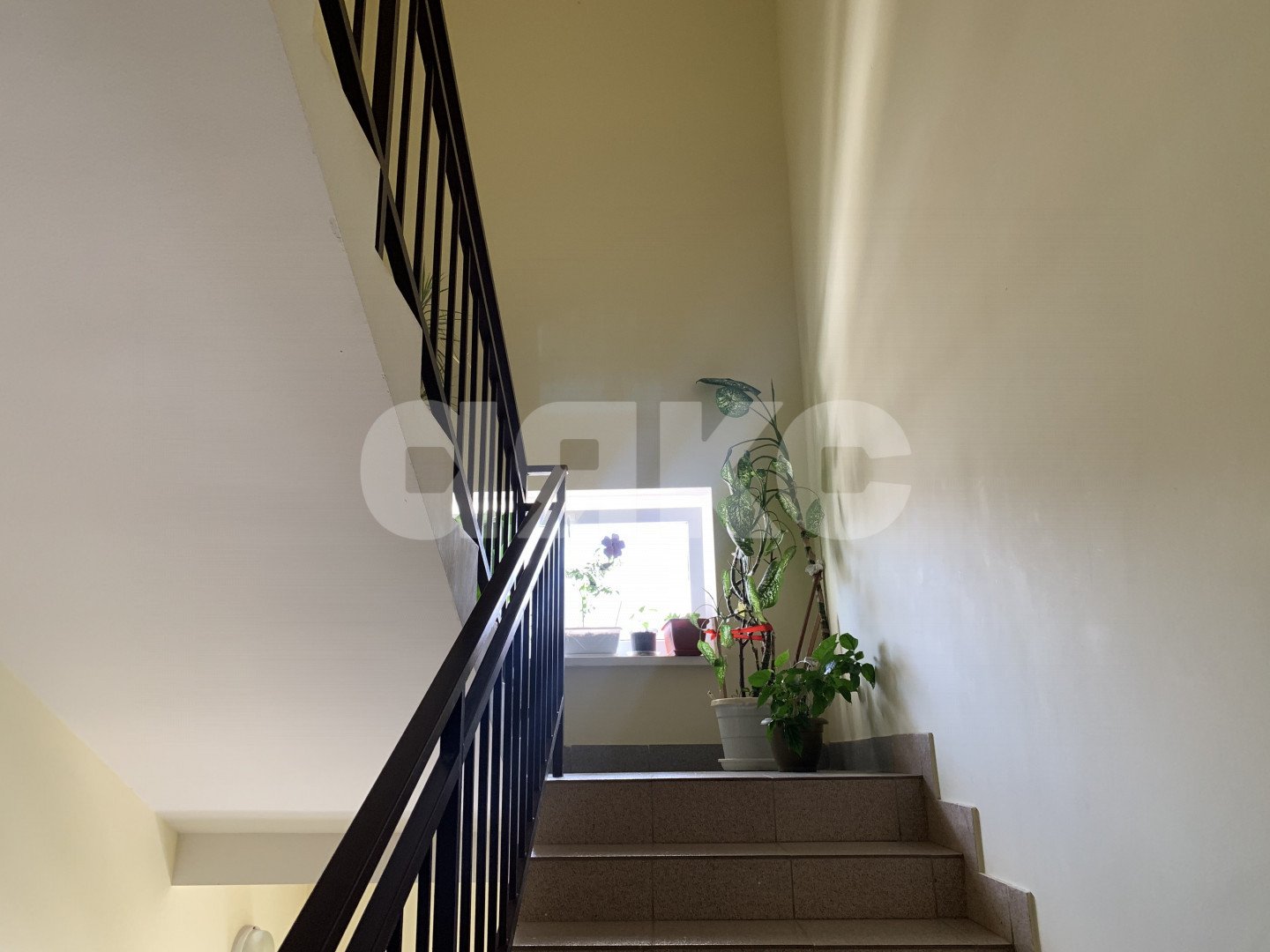 Фото №11: 3-комнатная квартира 85 м² - Горячий Ключ, Курортная Зона, ул. Кучерявого, 40