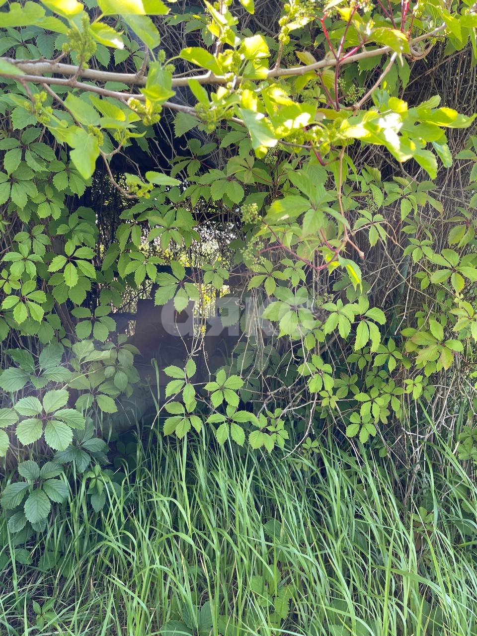 Фото №2: Дача 20 м² + 2 сот. - Белосарайская Коса, ул. Безуха, 139А