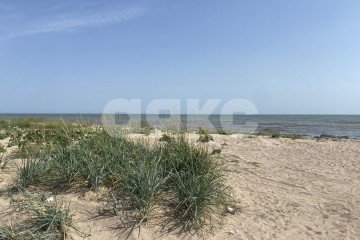 Фото №1: Коммерческая земля - Донецкая Народная Республика Мангушская поселковая община