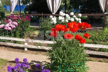 Фото №5: Дом 60 м² - Волгоград, п. территория Рабочий  Горьковский, ул. Курочкина