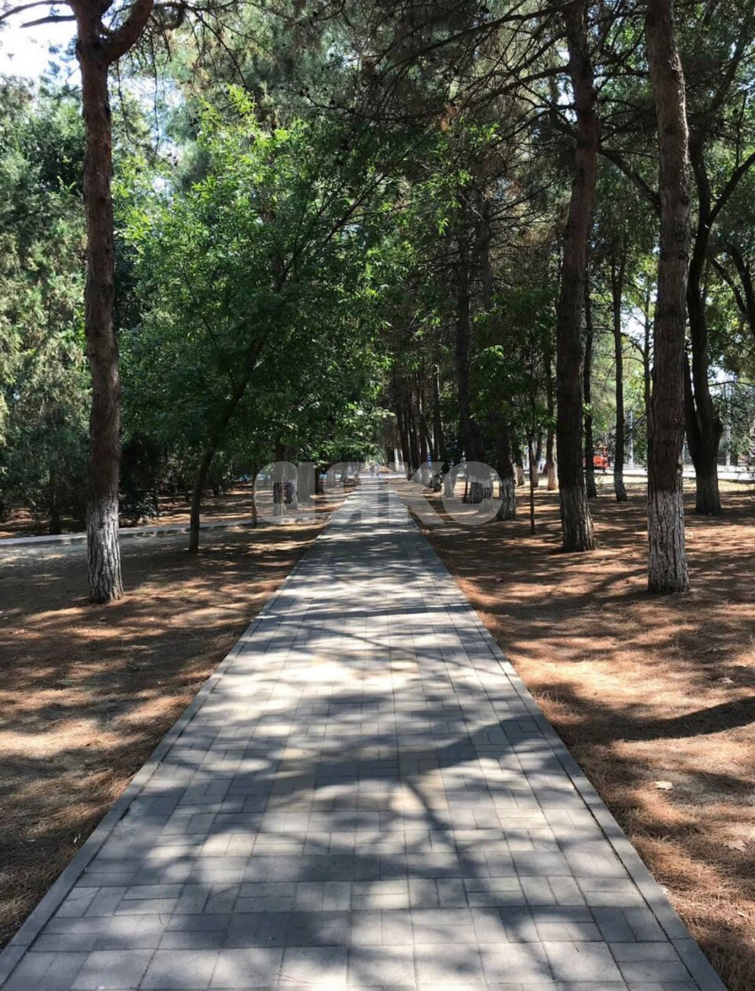 Фото №12: 1-комнатная квартира 41 м² - Анапа, мкр. жилой комплекс Кавказ, ул. Верхняя дорога, 151к5