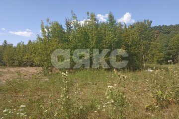Фото №5: Земельный участок под ИЖС - Саратовская, мкр. 4-й, ул. Ежевичная