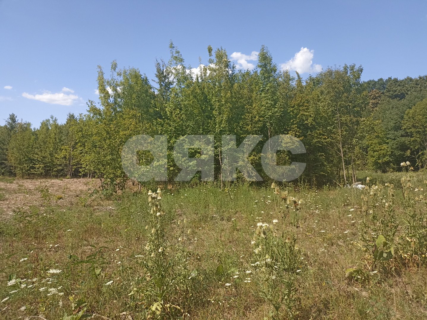 Фото №5: Земельный участок под ИЖС 6 сот. - Саратовская, 4-й, ул. Ежевичная