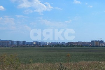 Фото №4: Личное подсобное хозяйство - Чембурка, пр-д Малый