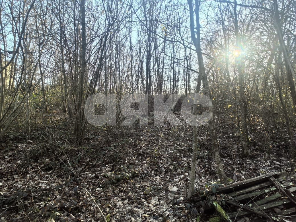 Фото №3: Участок садоводство 11.3 сот. - Краснодарский край городской округ Сочи