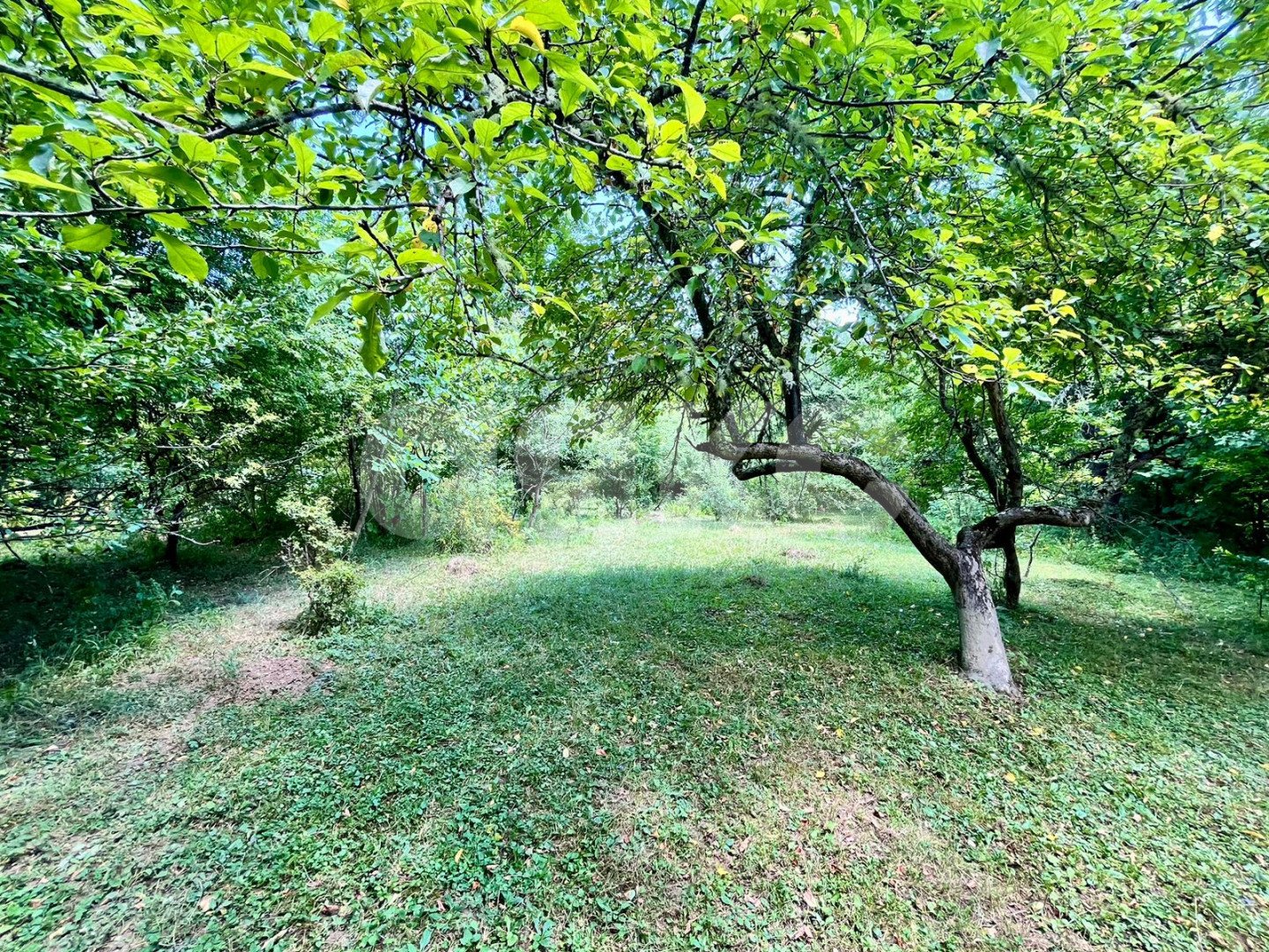 Фото №5: Личное подсобное хозяйство 45 сот. - Новопрохладное, ул. Садовая, 17