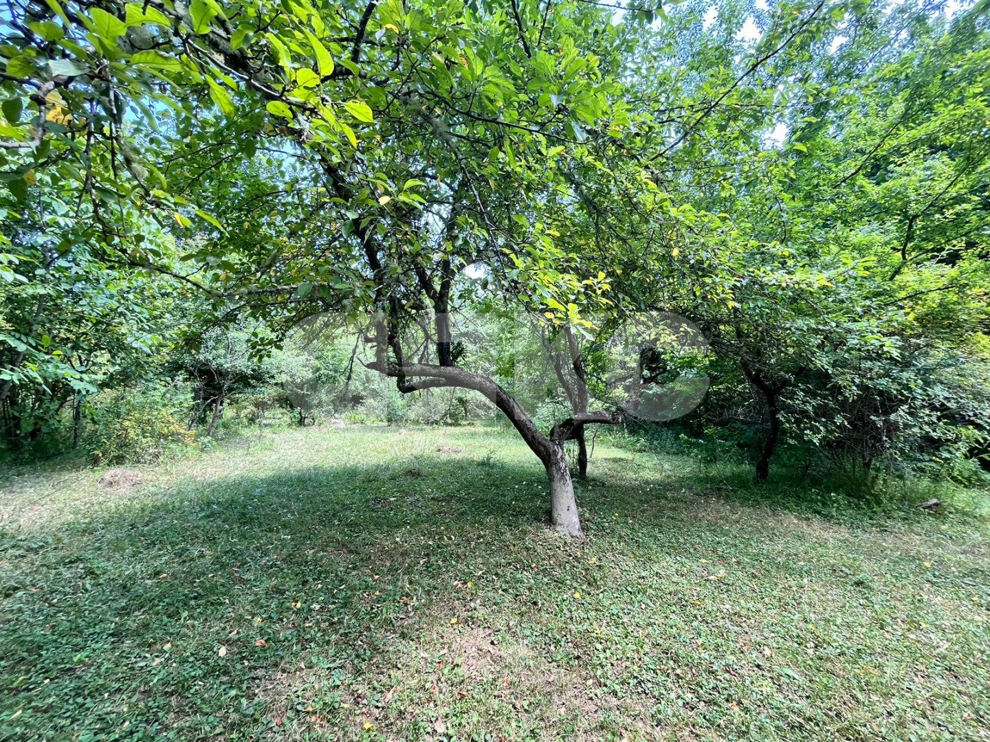 Фото №4: Личное подсобное хозяйство 45 сот. - Новопрохладное, ул. Садовая, 17