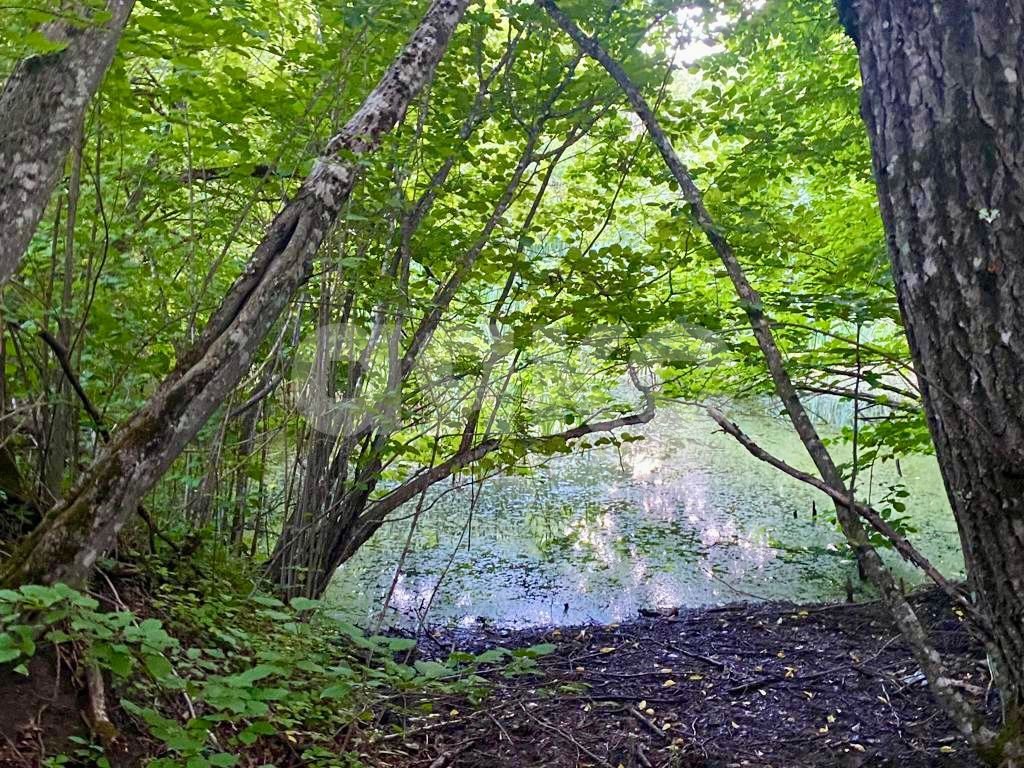 Фото №6: Личное подсобное хозяйство 45 сот. - Новопрохладное, ул. Садовая, 17