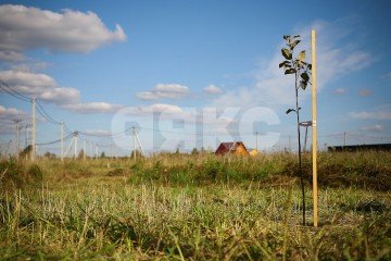 Фото №1: Личное подсобное хозяйство - Северин, пер. Шоссейный