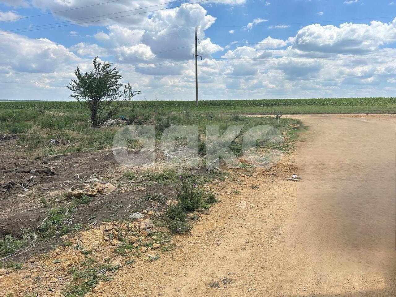 Фото №5: Коммерческая земля 5000 сот. - Большие Салы, ул. Абовяна