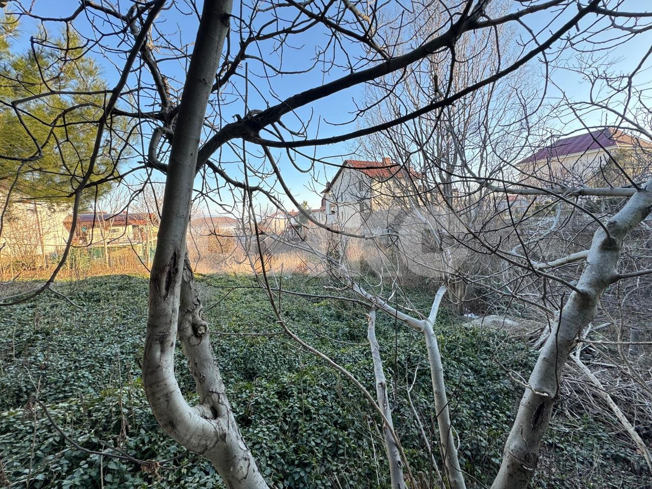 Фото №15: Участок садоводство 10.4 сот. - Геленджик, СНТ Ветеран, ул. Победы, 7