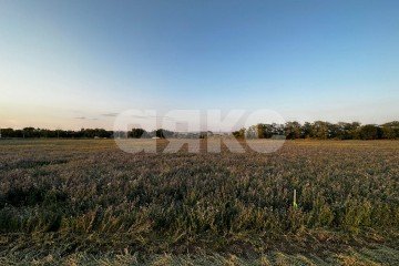 Фото №1: Земельный участок под ИЖС - Марьино, 