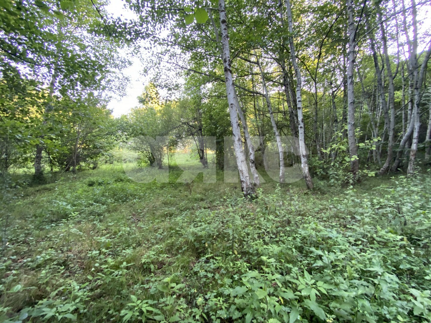 Фото №1: Участок садоводство 5.4 сот. - Краснодарский край городской округ Сочи
