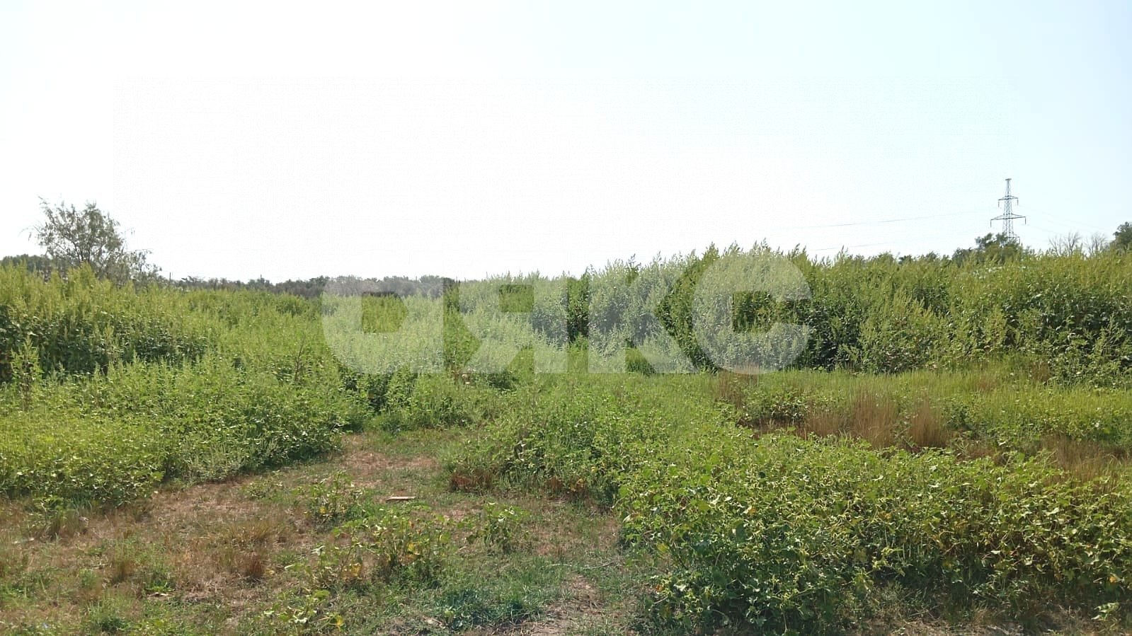 Фото №5: Земельный участок под ИЖС 4.12 сот. - Батайск, ул. Кольчужная, 3