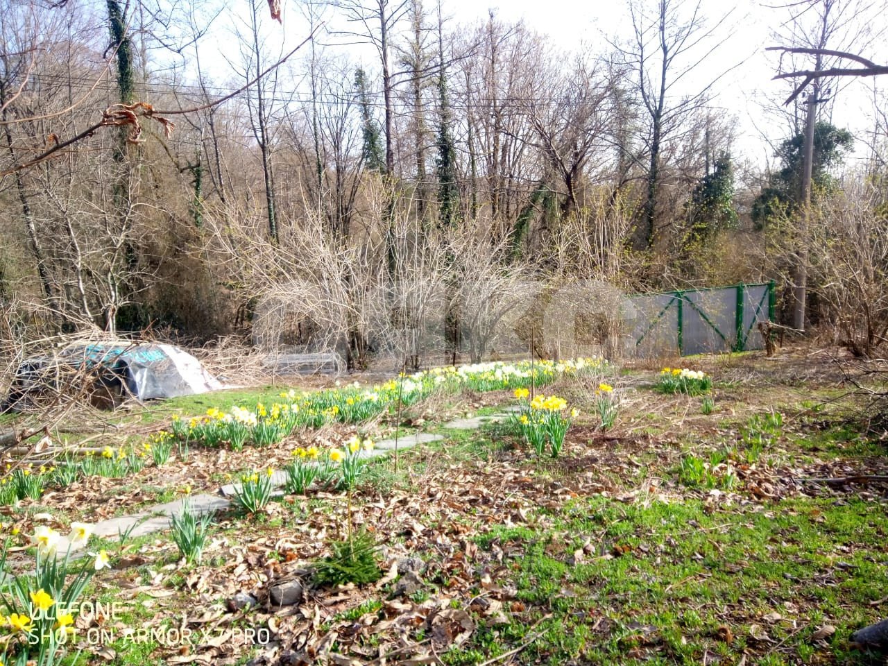 Фото №2: Участок садоводство 5 сот. - Пластунка, Родник-1