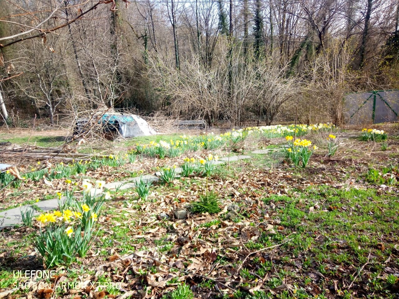 Фото №4: Участок садоводство 5 сот. - Пластунка, Родник-1