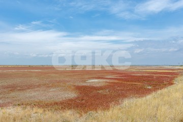 Фото №3: Земельный участок под ИЖС - Мариуполь, р. Центральный, ул. Греческая площадь
