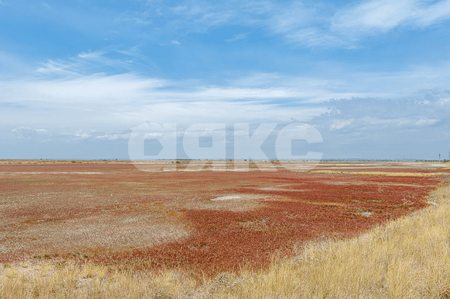 Фото №3: Земельный участок под ИЖС 5 сот. - Мариуполь, Центральный, ул. Греческая площадь