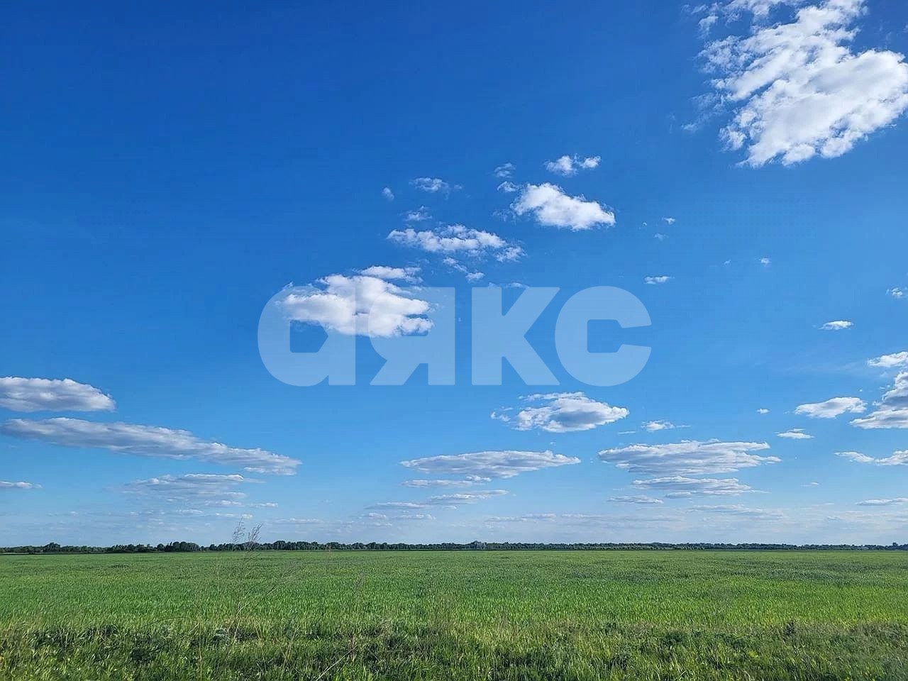 Фото №3: Земельный участок под ИЖС 3.5 сот. - Старочеркасская, ул. Пионерская, 35А