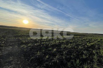 Фото №1: Дачное некоммерческое партнерство - Московская область Раменский муниципальный округ