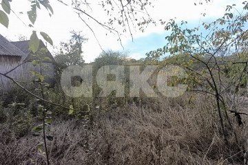 Фото №2: Личное подсобное хозяйство - Суздальская, ул. Молодёжная
