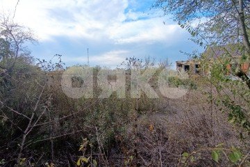 Фото №3: Личное подсобное хозяйство - Суздальская, ул. Молодёжная
