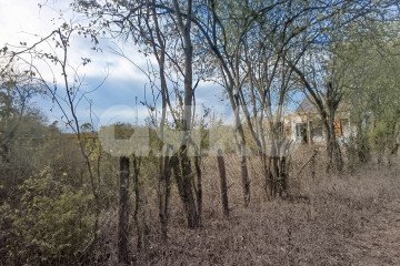 Фото №5: Личное подсобное хозяйство - Суздальская, ул. Молодёжная