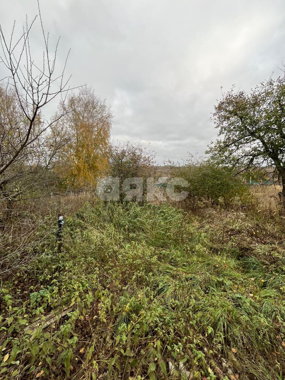 Фото №8: Дом 45 м² + 14 сот. - Донской, Бобрик-Гора, пер. Октябрьский, 11