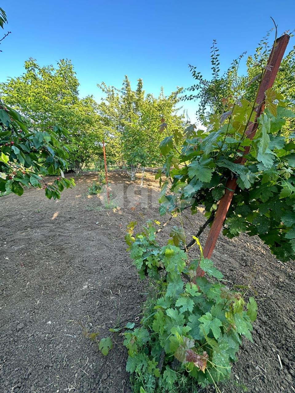 Фото №13: Дача 65 м² + 15 сот. - Гай-Кодзор, ул. Новосёлов, 24