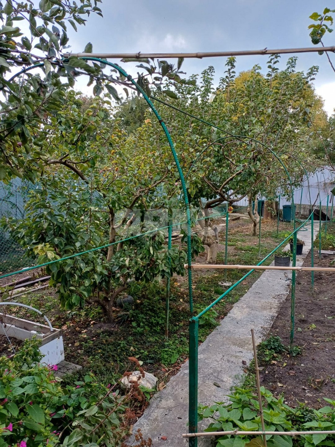 Фото №46: Дом 286 м² + 12 сот. - Геленджик, Голубая Бухта, ул. Ольги Трабша