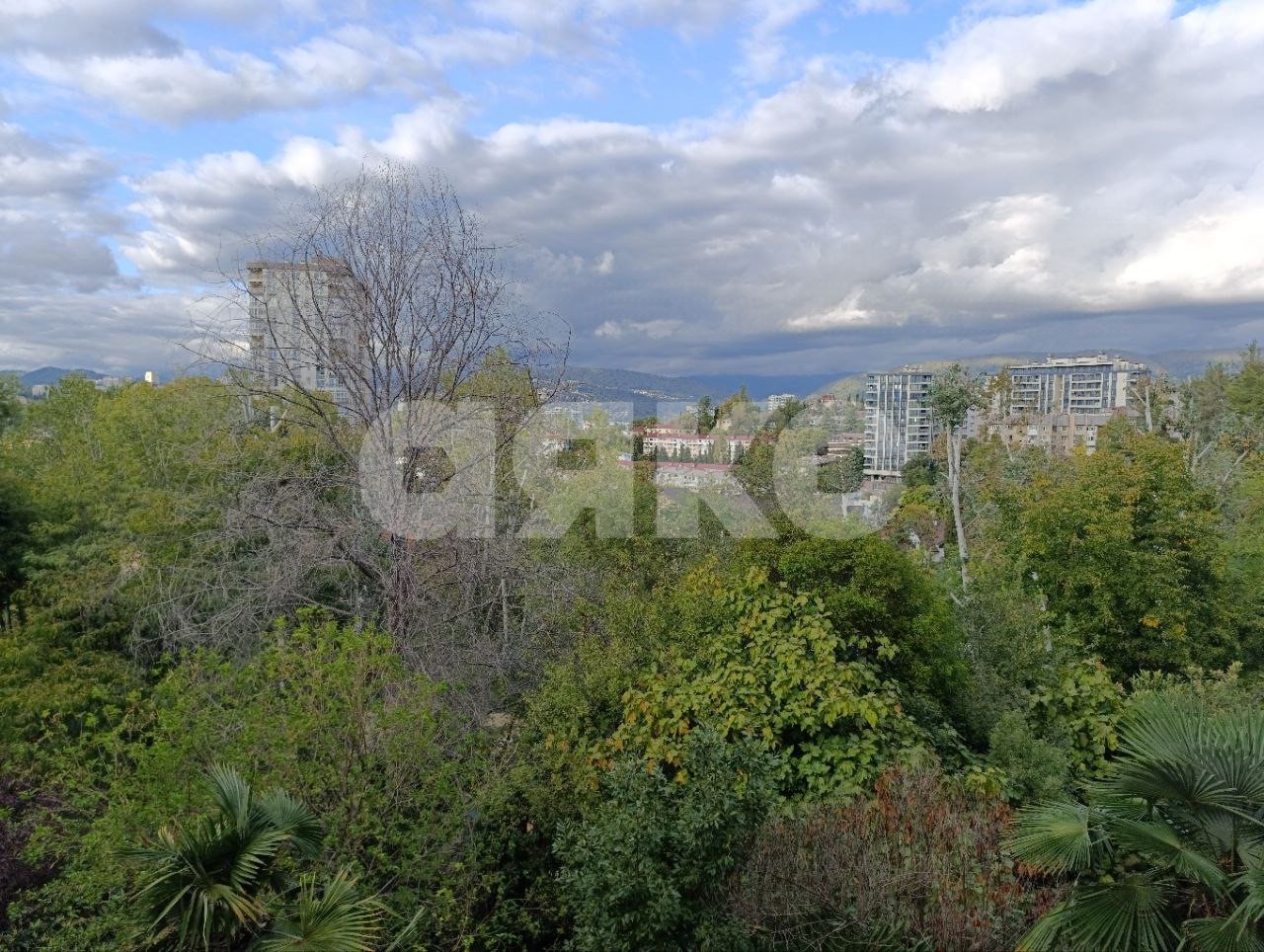 Фото №8: 2-комнатная квартира 52 м² - Сочи, Центральный, ул. Первомайская, 27