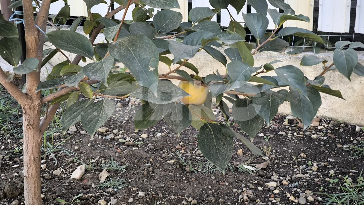 Фото №30: Таунхаус 115 м² + 3.3 сот. - Горячий Ключ, Развилка, ул. Заводской тупик