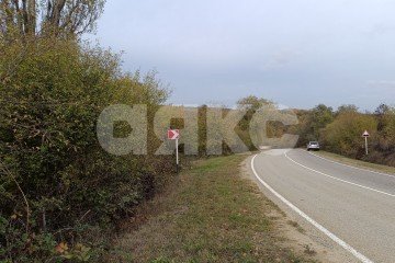 Фото №2: Личное подсобное хозяйство - Кутаис, ул. Ленина