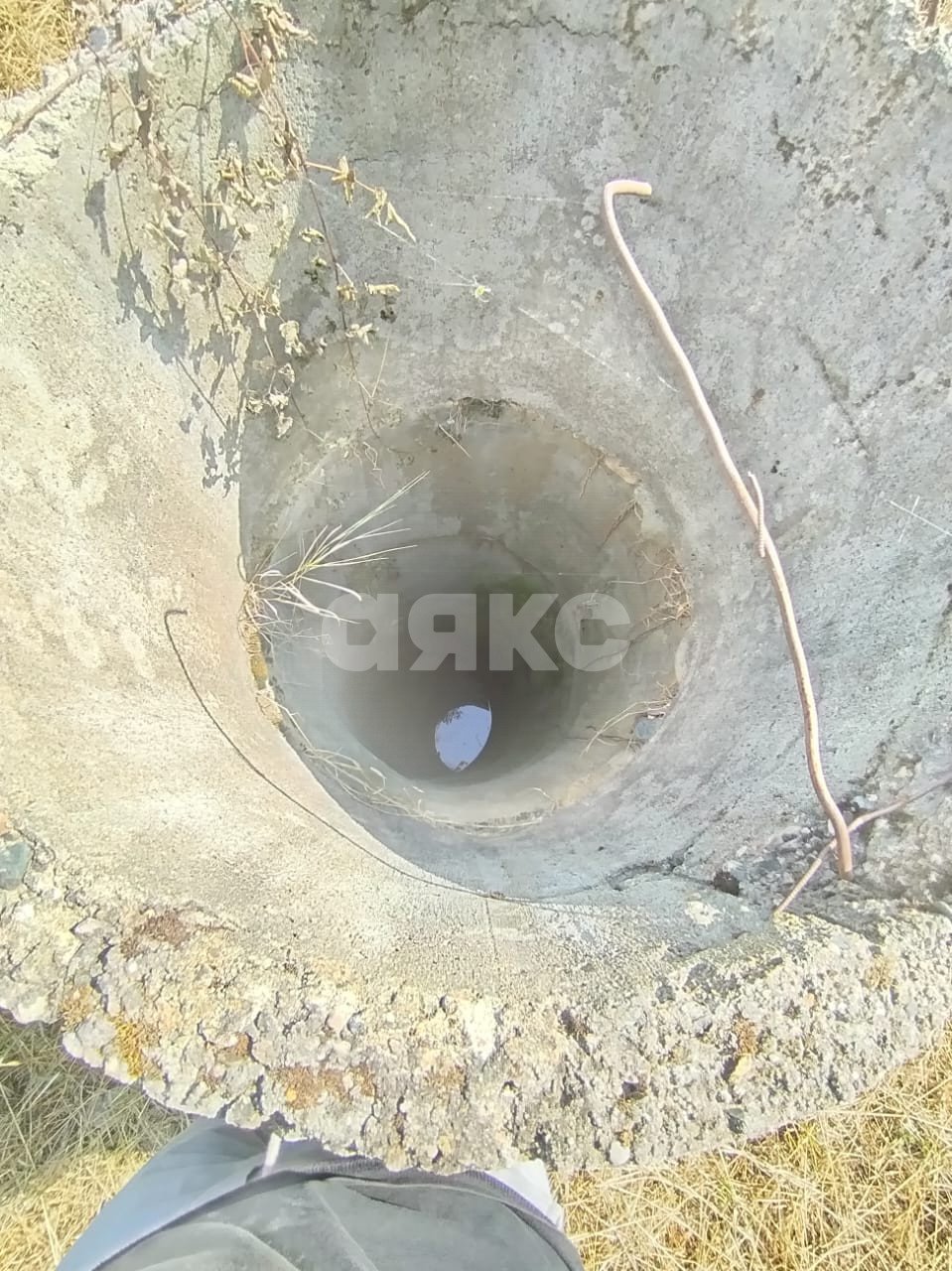 Фото №4: Личное подсобное хозяйство 7.3 сот. - СНТ Красноречье, ул. Энергетическая