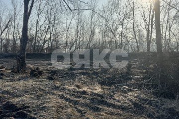 Фото №3: Участок садоводство - Краснооктябрьский, ул. Кубанская