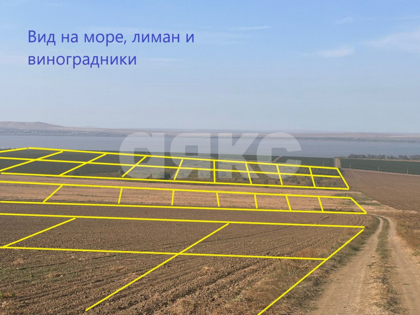 Фото №14: Земельный участок под ИЖС 5.6 сот. - Веселовка, ул. Шоссейная, 10