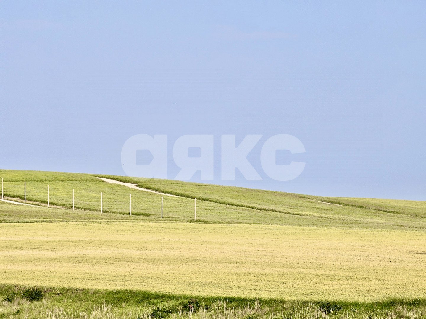 Фото №15: Земельный участок под ИЖС 5.6 сот. - Веселовка, ул. Шоссейная, 10