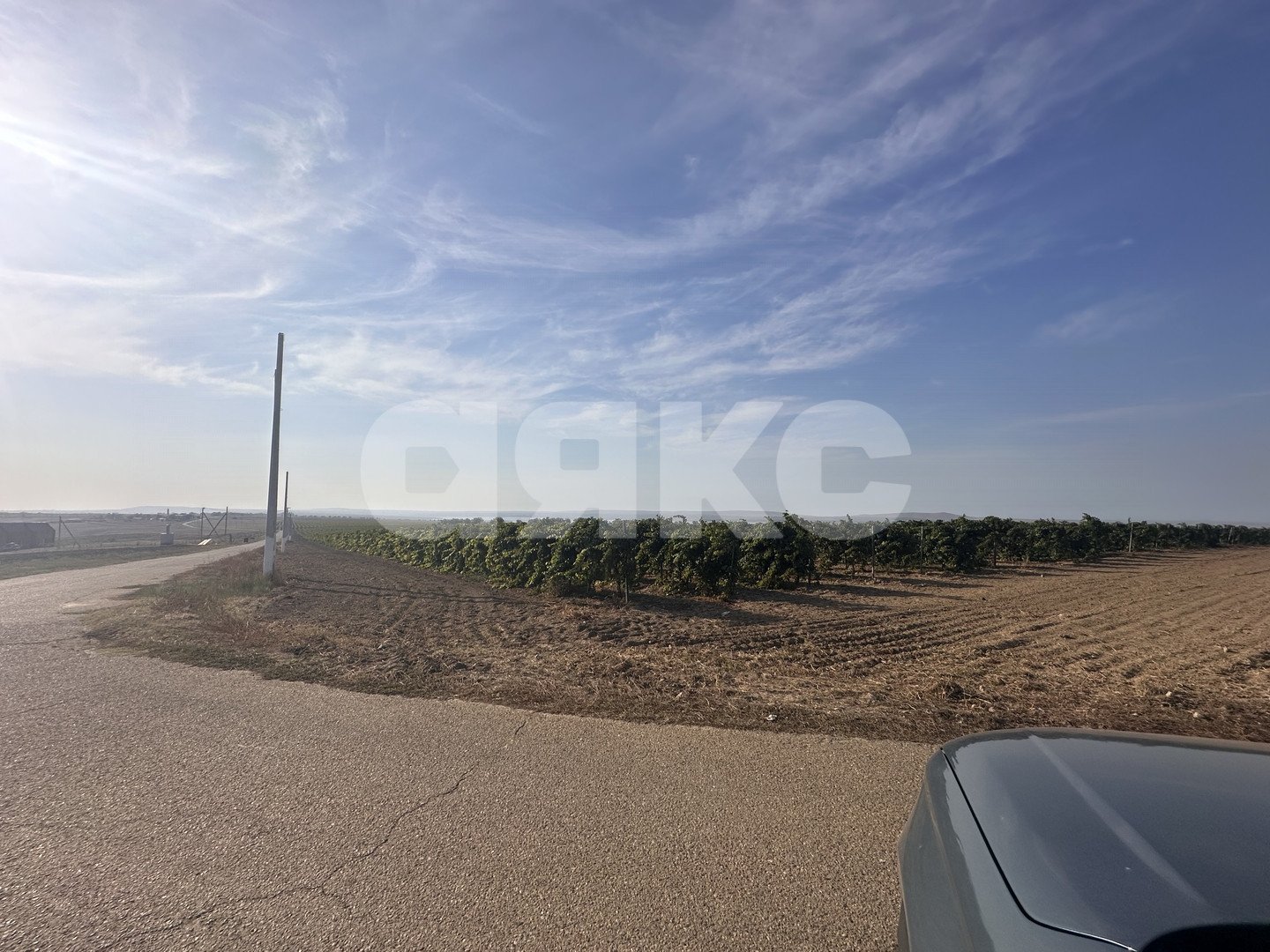 Фото №29: Земельный участок под ИЖС 5.6 сот. - Веселовка, ул. Шоссейная, 10