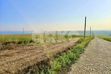 Фото №5: Земельный участок под ИЖС - Веселовка, ул. Шоссейная, 10