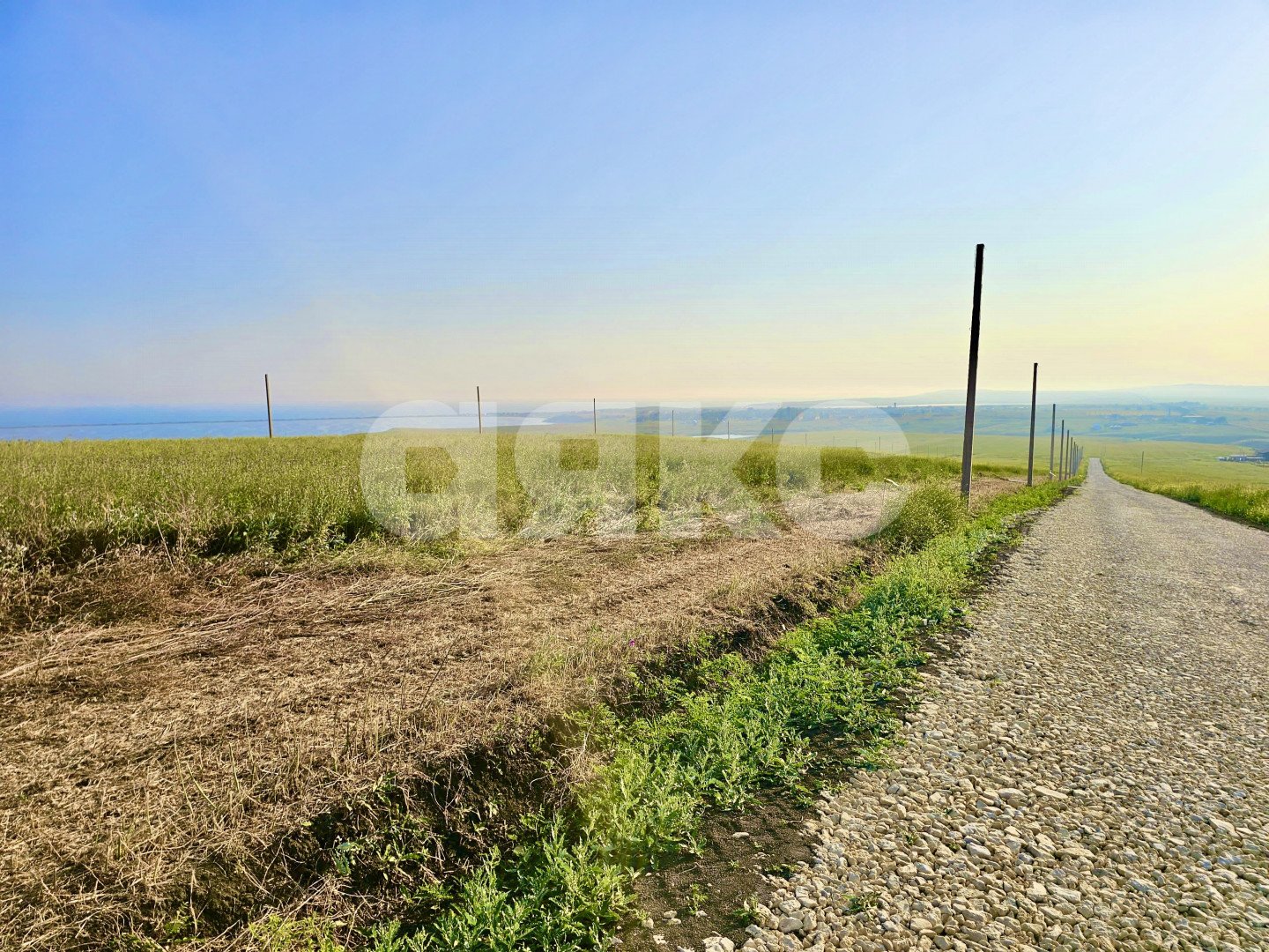 Фото №5: Земельный участок под ИЖС 5.6 сот. - Веселовка, ул. Шоссейная, 10