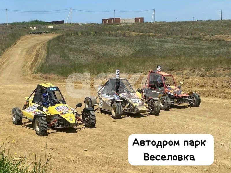 Фото №44: Земельный участок под ИЖС 5.6 сот. - Веселовка, ул. Шоссейная, 10