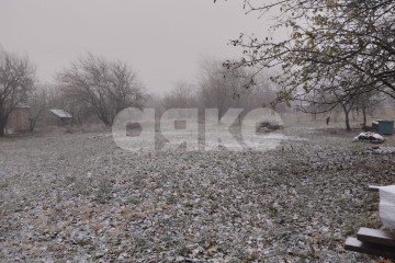Фото №1: Личное подсобное хозяйство - Фортштадт, ул. Клубная, 1