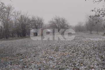 Фото №3: Личное подсобное хозяйство - Фортштадт, ул. Клубная, 1