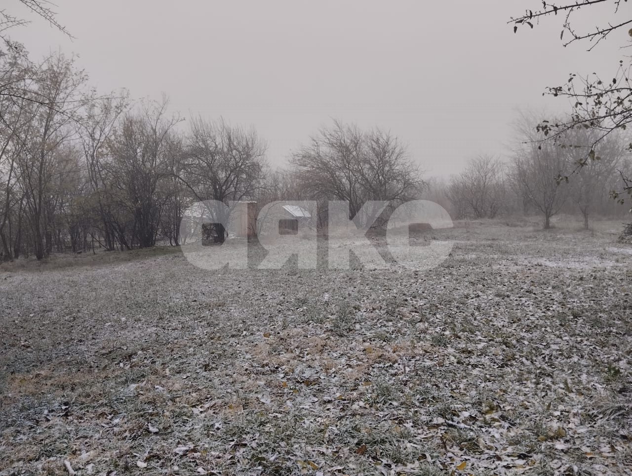Фото №3: Личное подсобное хозяйство 12 сот. - Фортштадт, ул. Клубная, 1