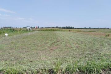 Фото №4: Земельный участок 9 сот. - Пригородный, мкр. Алтайский, 