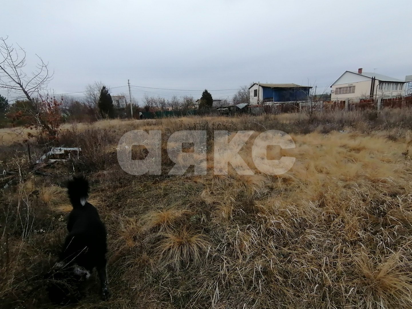 Фото №6: Участок садоводство 11 сот. - Царицын, Диана, ул. Берёзовая