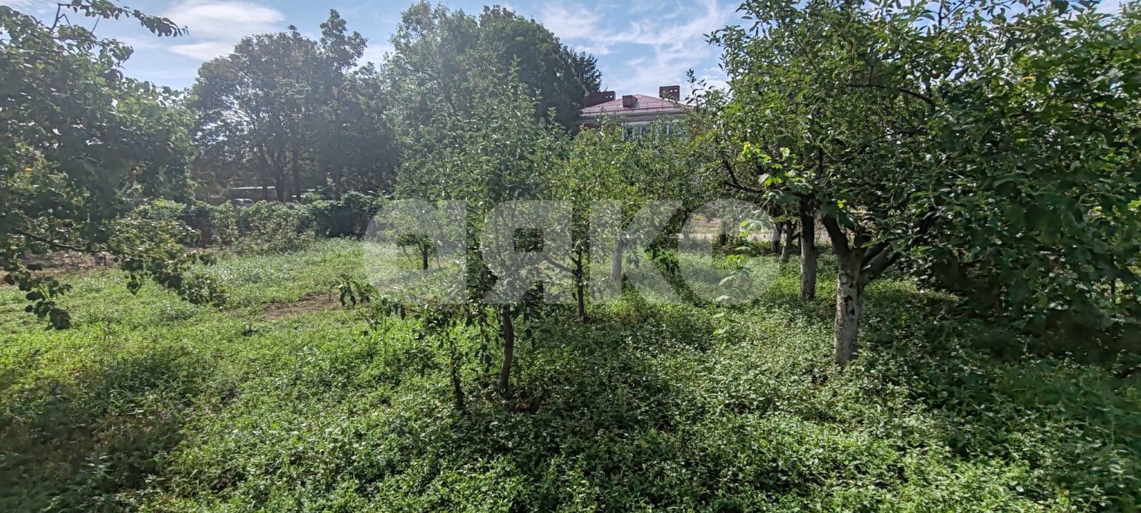Фото №22: Дуплекс 131 м² + 8 сот. - Красный Октябрь, ул. А-289, 109-й километр